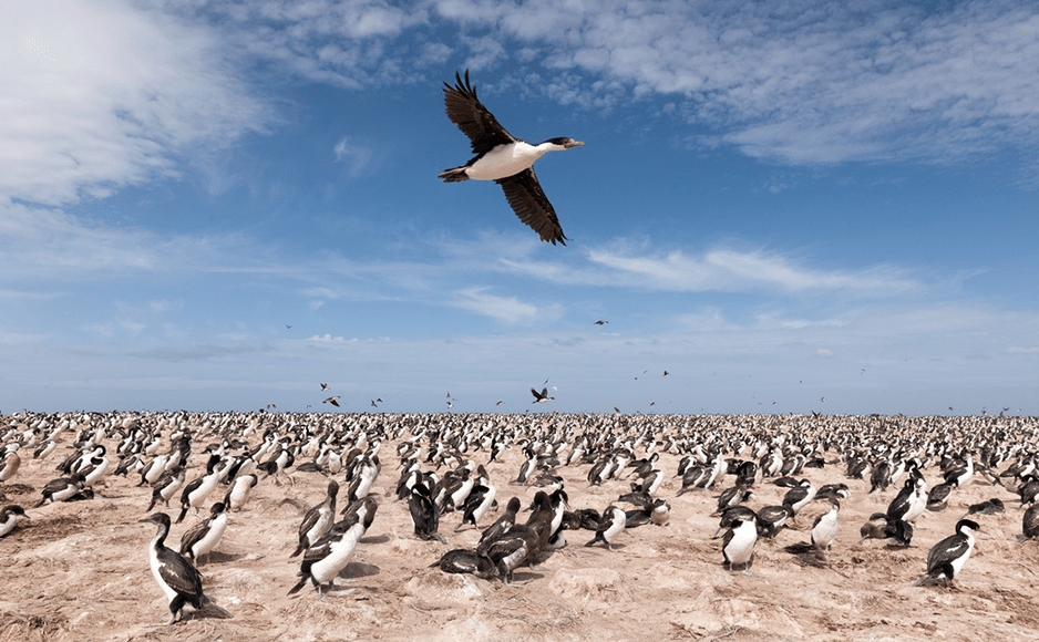 Michael Fischer - Fotograf, Frankfurt