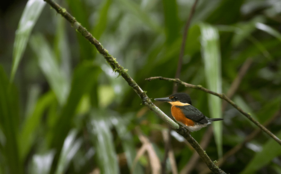 Michael Fischer - Fotograf, Frankfurt