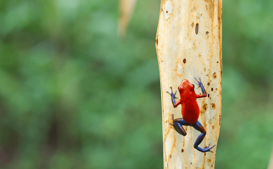 Michael Fischer - Fotograf, Frankfurt